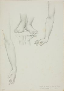Studie pro Mirror of Venus: Arms and Feet of Venus