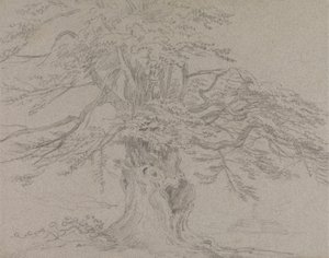 Stromová studie od Sir George Howland Beaumont seventh Baronet