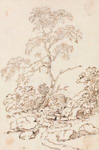 Strom po krocích od Sir George Howland Beaumont seventh Baronet