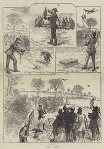 Hawking v Hendonu od Sir John Charles Robinson