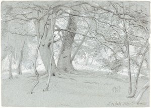 Stromy na Box Hill