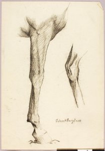 Studie koní od Solon H. Borglum