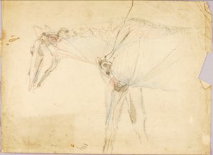 Studie koní od Solon H. Borglum