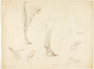 Studie koní a králíků od Solon H. Borglum
