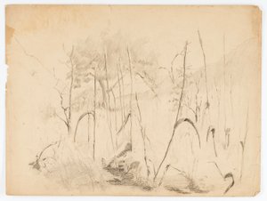 Krajina od Solon H. Borglum
