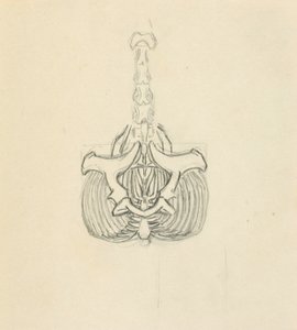 Pánev od Solon H. Borglum