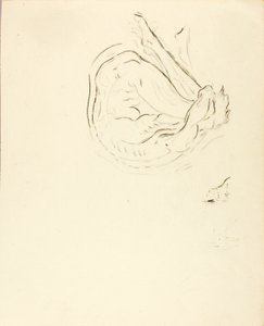 Plavec od Solon H. Borglum