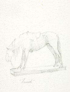 Zkrocený od Solon H. Borglum