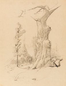 Bez názvu od Solon H. Borglum