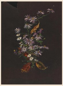Podzimní kytice, ca. 1890