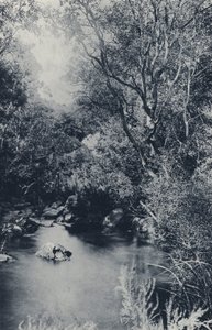 A Fairy Scene, poblíž Witpoortje (č/b foto) od South African Photographer