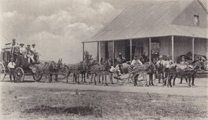 Nový dopravní prostředek, zebry k kreslení poštovního autobusu (černobílá fotografie) od South African Photographer