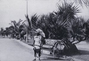 Bay Esplanade, Durban, ukazuje rikša (a / nebo fotografie) od South African Photographer