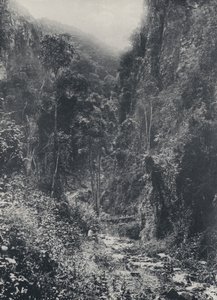Scéna poblíž Pilgrims
