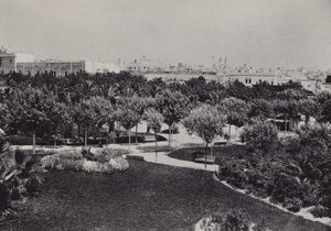 Cádiz: Parque Genoves (černobílá fotografie) od Spanish Photographer