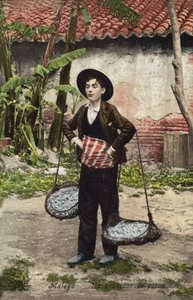 Prodavač ryb, Malaga, Španělsko (barevné foto) od Spanish Photographer