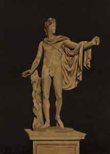 Apollo Belvedere (chromolitho) od Spanish School