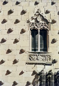 Detail exteriéru Casa de la Conchas (foto) od Spanish School