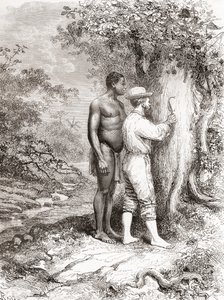 Jules Crevaux, během svého průzkumu Francouzské Guyany v roce 1878, vyřezával své iniciály na strom na břehu řeky Oyapock nebo Oiapoque od Spanish School