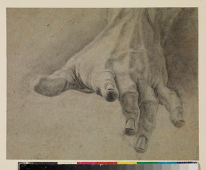 Studie levé ruky, 18. století od Spanish School