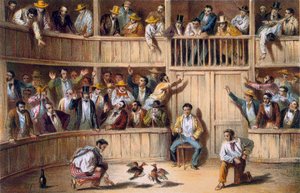 Valla de Gallos, Kuba (barevná litografie) od Spanish School