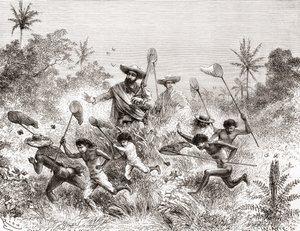 Édouard François André chytající motýly ve Villavicencio ve Venezuele během své botanické expedice na úpatí And v letech 1875-76 od Spanish School