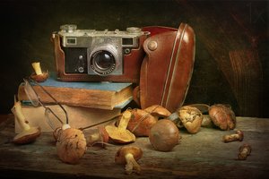 Retro fotoaparát a houby