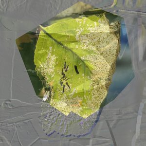 Abstrakt: Zelený list od Stefan Fransson