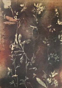 Temné botanické formy od Stefano Mazzolini