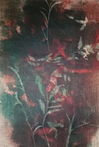 Temný botanický klid od Stefano Mazzolini