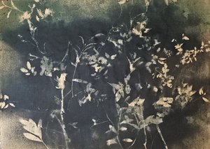 Tmavé botanické siluety