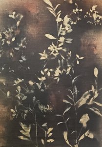 Tmavé botanické siluety