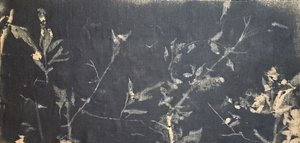 Temná botanická studie od Stefano Mazzolini