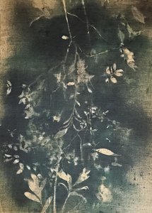 Temná botanická studie od Stefano Mazzolini