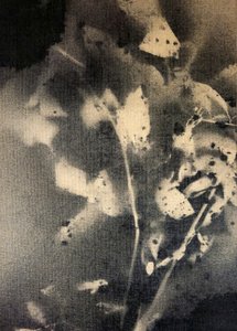Éterické botanické formy od Stefano Mazzolini