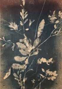 Vintage modré botanické motivy od Stefano Mazzolini