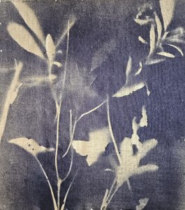 Vintage botanické modři od Stefano Mazzolini