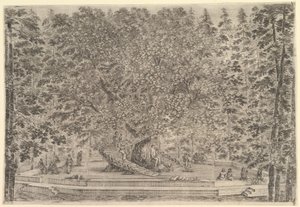 Velký obydlený strom uprostřed s rampami vedoucími kolem kmene, pod kamennou pa..., ca. 1653. od Stefano della Bella