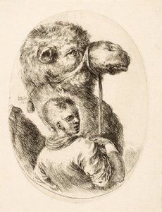 Chlapec držící velblouda za uzdu, hospoda Několik hlav Coiffées à la Persienne. vs. 1650 (rytina) od Stefano della Bella