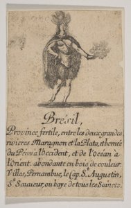 Brazílie, 1644. od Stefano della Bella