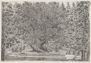 De tuin van Villa Pratolino se rozmohl Villa Pratolino (název série) Vues de la villa de Pratolino (název série) od Stefano della Bella