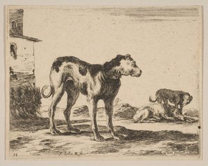 Tabulka 11: psi, z Různá zvířata Diversi animali, ca. 1641. od Stefano della Bella