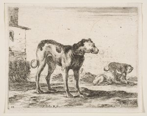 Tabulka 11: psi, z Různá zvířata Diversi animali, ca. 1641. od Stefano della Bella
