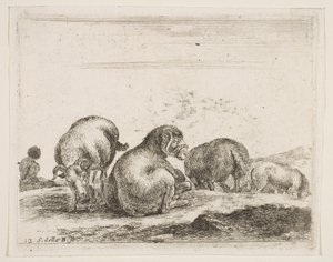 Talíř 12: ovce a beran na pastvě, od Různá zvířata Diversi animali, ca. 1641. od Stefano della Bella