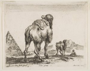 Talíř 18: velbloud při pohledu zezadu s pyramidou vlevo, ze strany Různá zvířata Potápěč..., ca. 1641. od Stefano della Bella