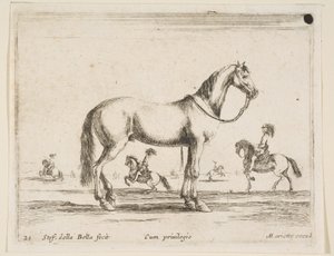 Deska 21: kůň, z Různá zvířata Diversi animali, 1641. od Stefano della Bella
