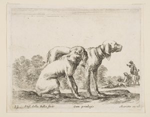 Deska 23: dva psi, od Různá zvířata Diversi animali, ca. 1641. od Stefano della Bella