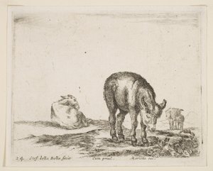 Deska 24: osli, z Různá zvířata Diversi animali, ca. 1641. od Stefano della Bella
