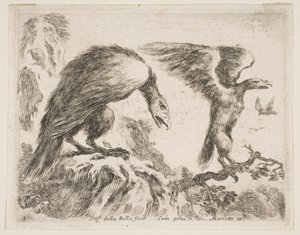 Deska 2: orel a orel, z Různá zvířata Diversi animali, ca. 1641. od Stefano della Bella