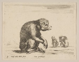 Talíř 3: sedící opice, z Různá zvířata Diversi animali, ca. 1641. od Stefano della Bella